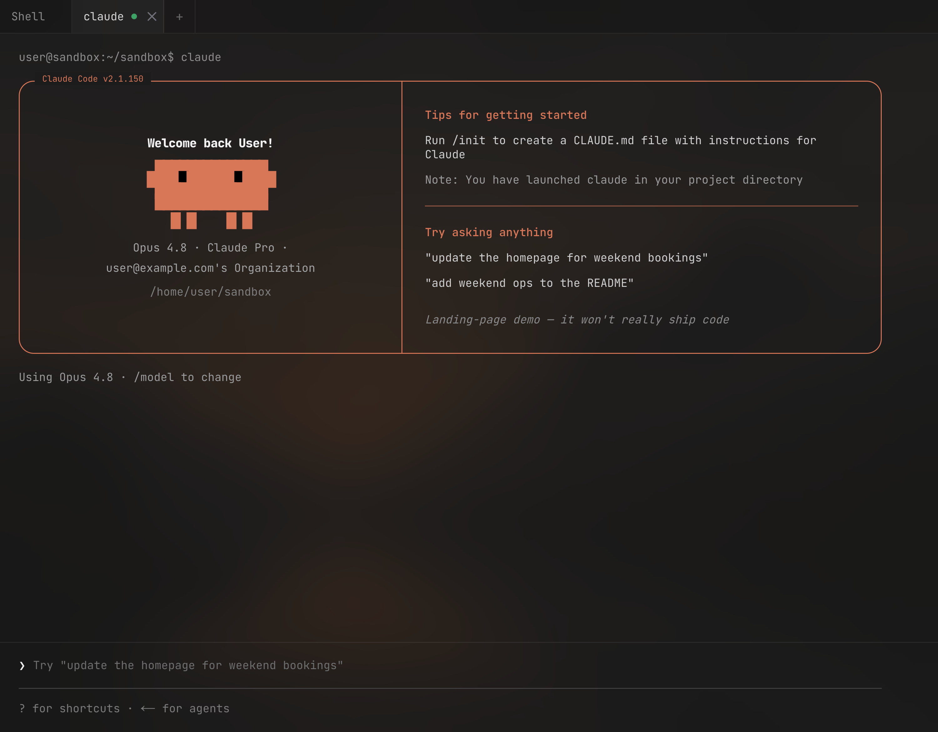 ForgeVPS terminal with Claude Code, using demo data